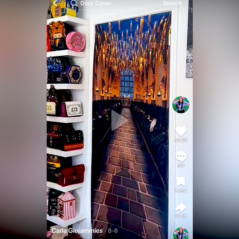 Harry Potter Door Cover